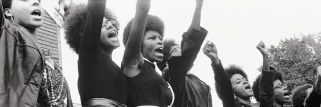 a dona da razão banner