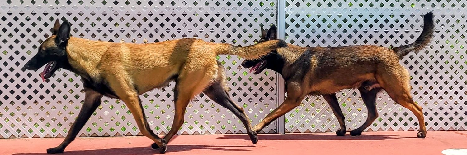 🇺🇸Based Big Daddy🇺🇸 banner