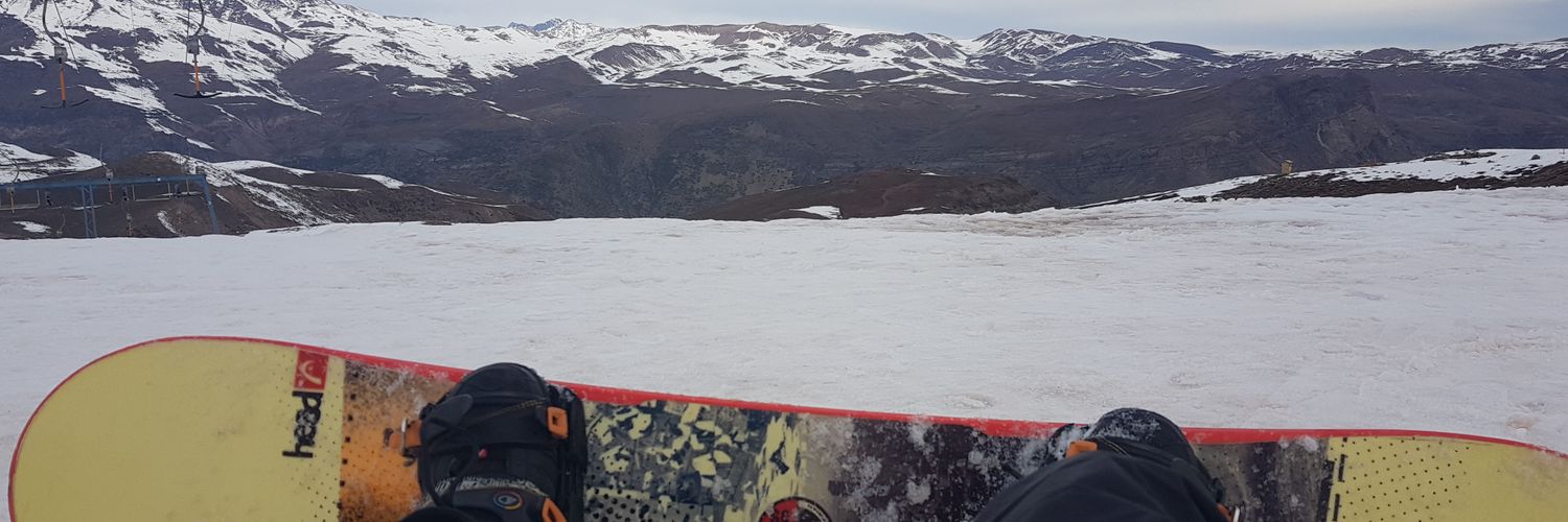 Alejandro Torrado banner