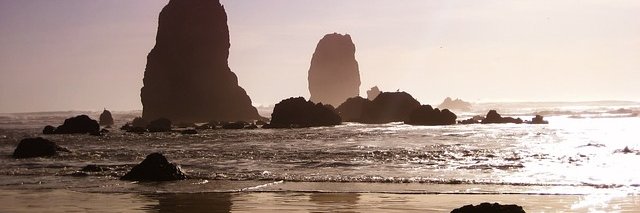 Harry Michael banner