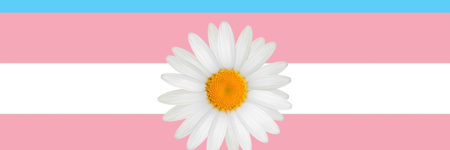 GeekinClara's profile banner image