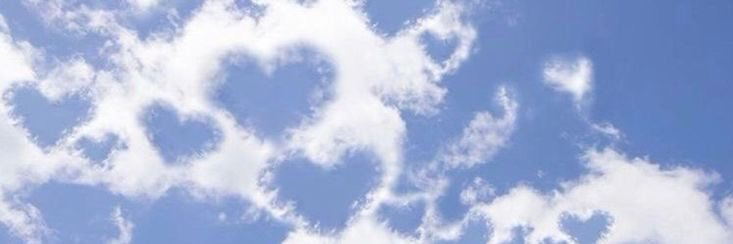 camelonish's profile banner image