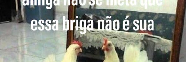 ta_galera Profile Banner