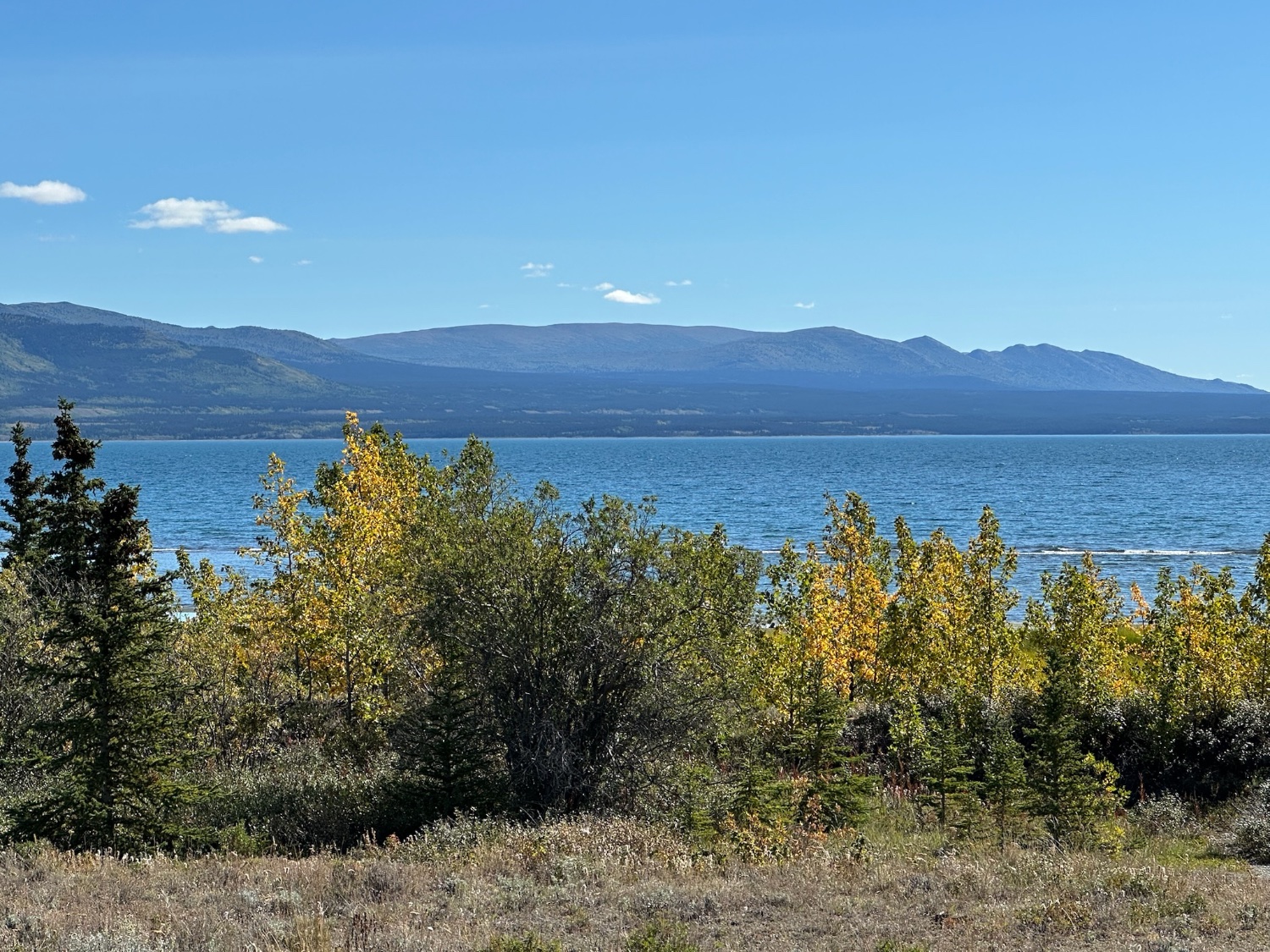 John Lockhart banner