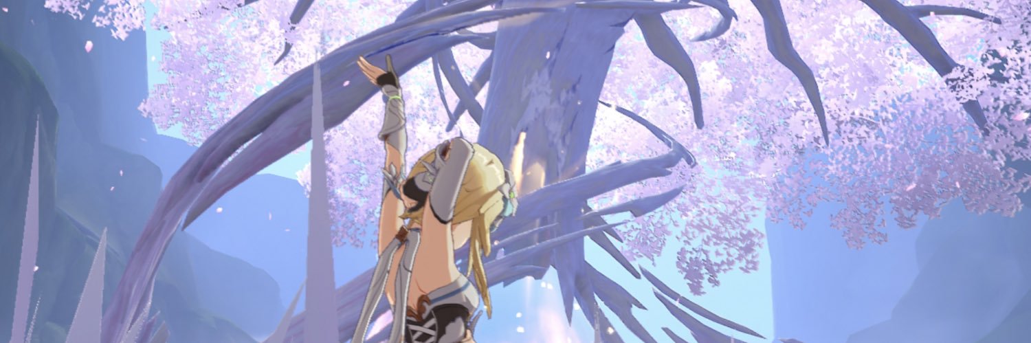 nemo banner