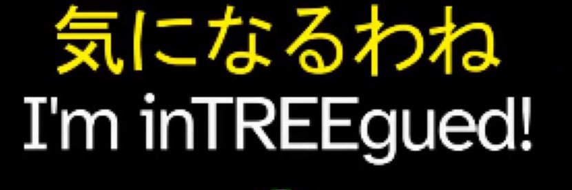 MordeeMay's profile banner image
