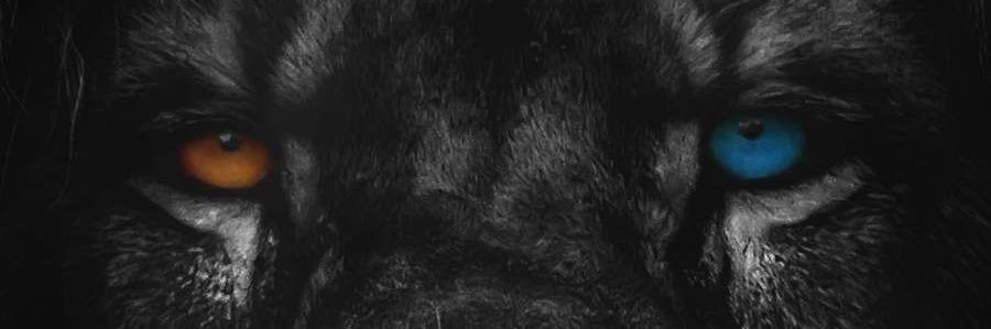 Shawntaneous banner