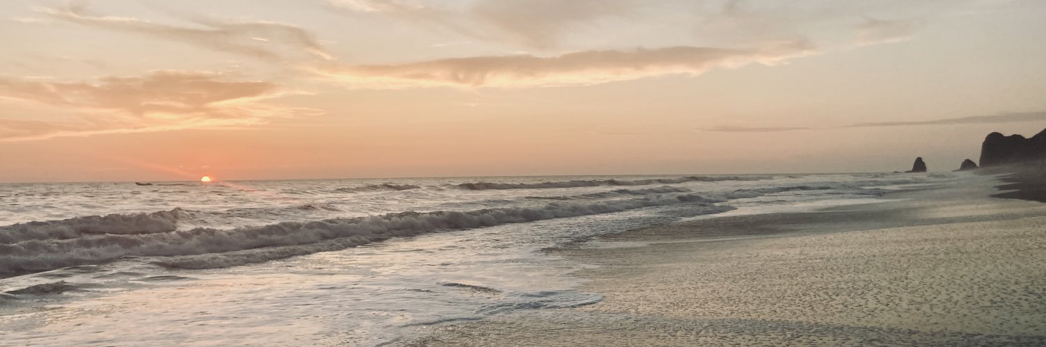 Carolina_Dlt's profile banner image