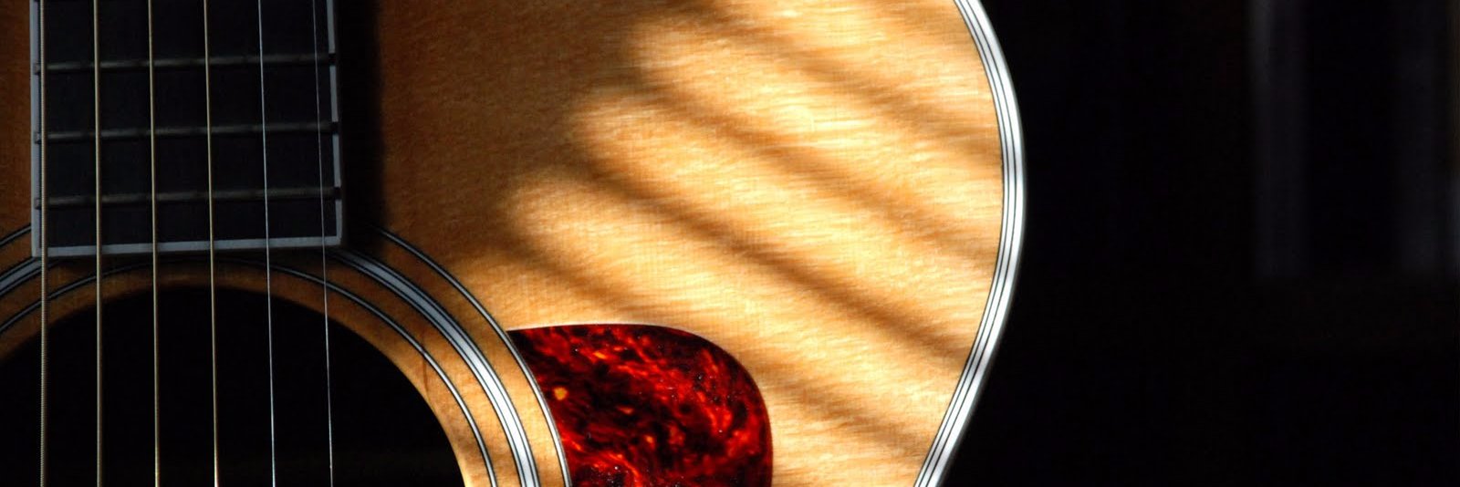 EliVera016's profile banner image