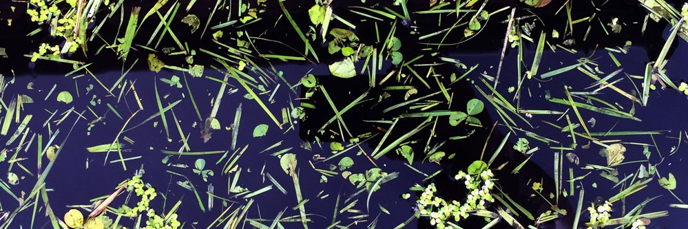studiocontents's profile banner image