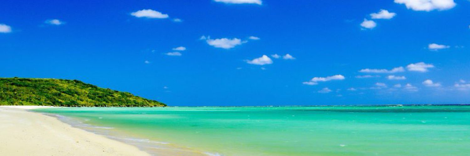 大介🔰窓際不良社畜 banner