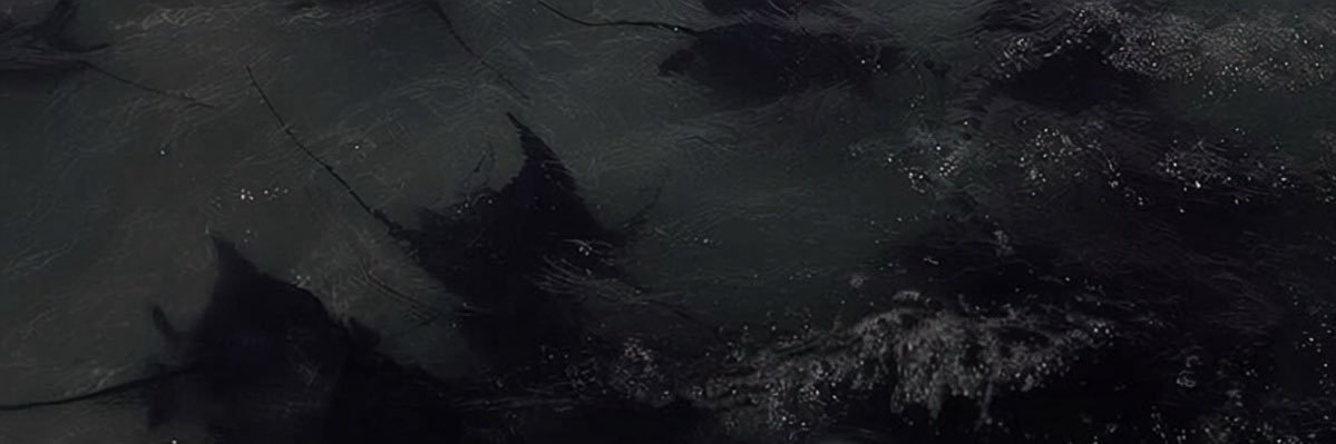dl1xt's profile banner image