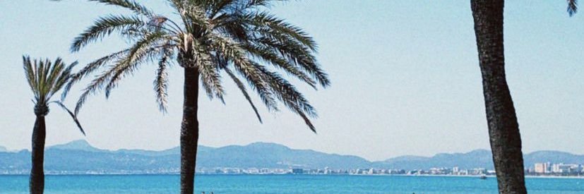 camu banner