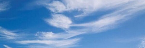 LiteracyLink1 Profile Banner