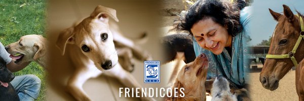 FriendicoesSECA Profile Banner