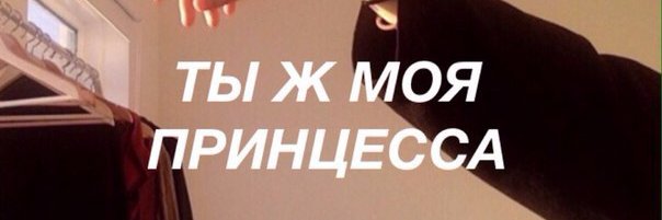Piechkovskaia's profile banner image
