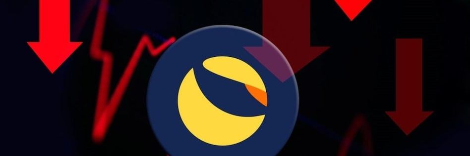 Vicoff banner