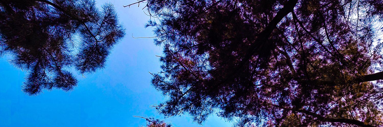 𝓜𝓲𝓬𝓱𝓪𝓮𝓵 𝓢𝓬𝓪𝓻𝓷 banner