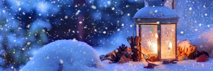 The Frozen Shiller banner