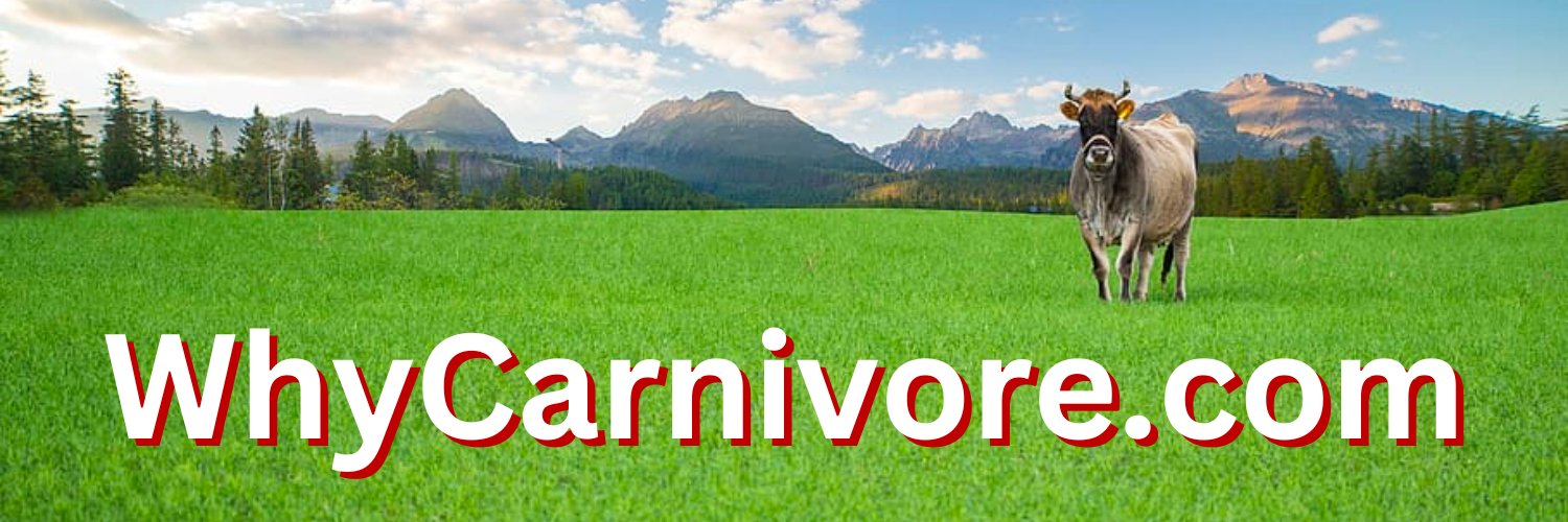 WhyCarnivore.com 🥩 banner