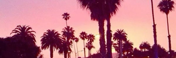 calamityvipers Profile Banner