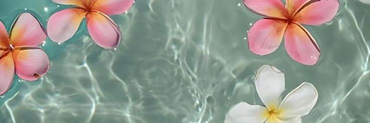 Alexandra Lambraño banner