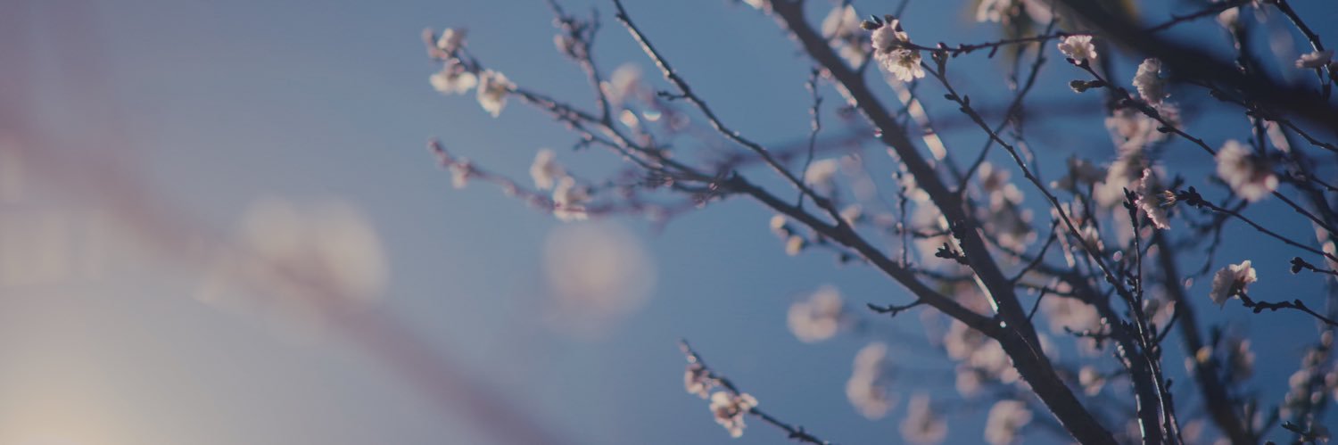 PhotoCham's profile banner image