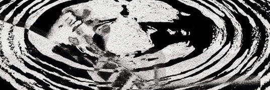 something in the lake banner