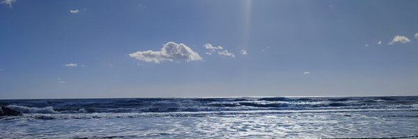 deepdeepseablue Profile Banner