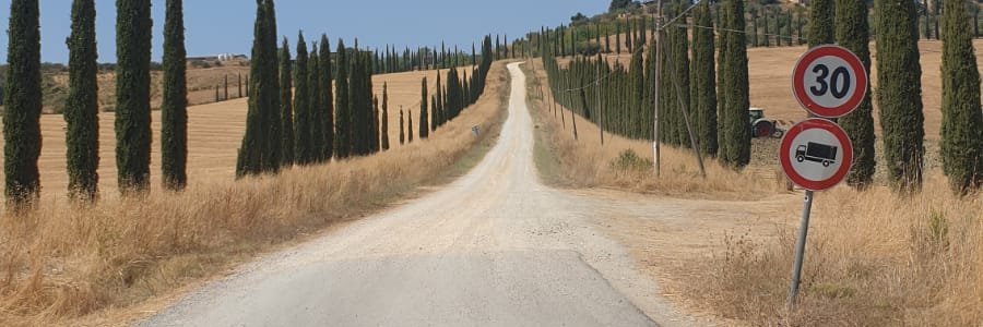 Cesare banner