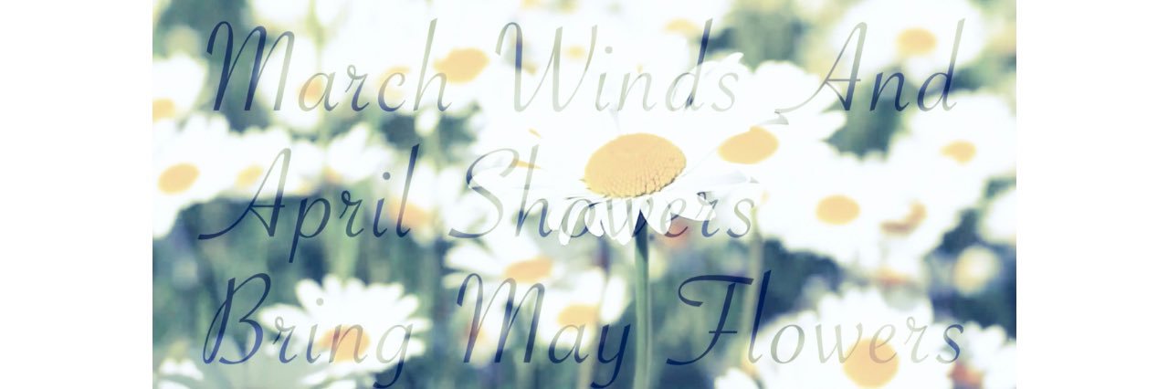 nabe3mm's profile banner image