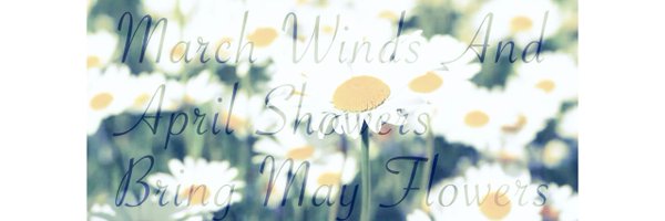 nabe3mm Profile Banner