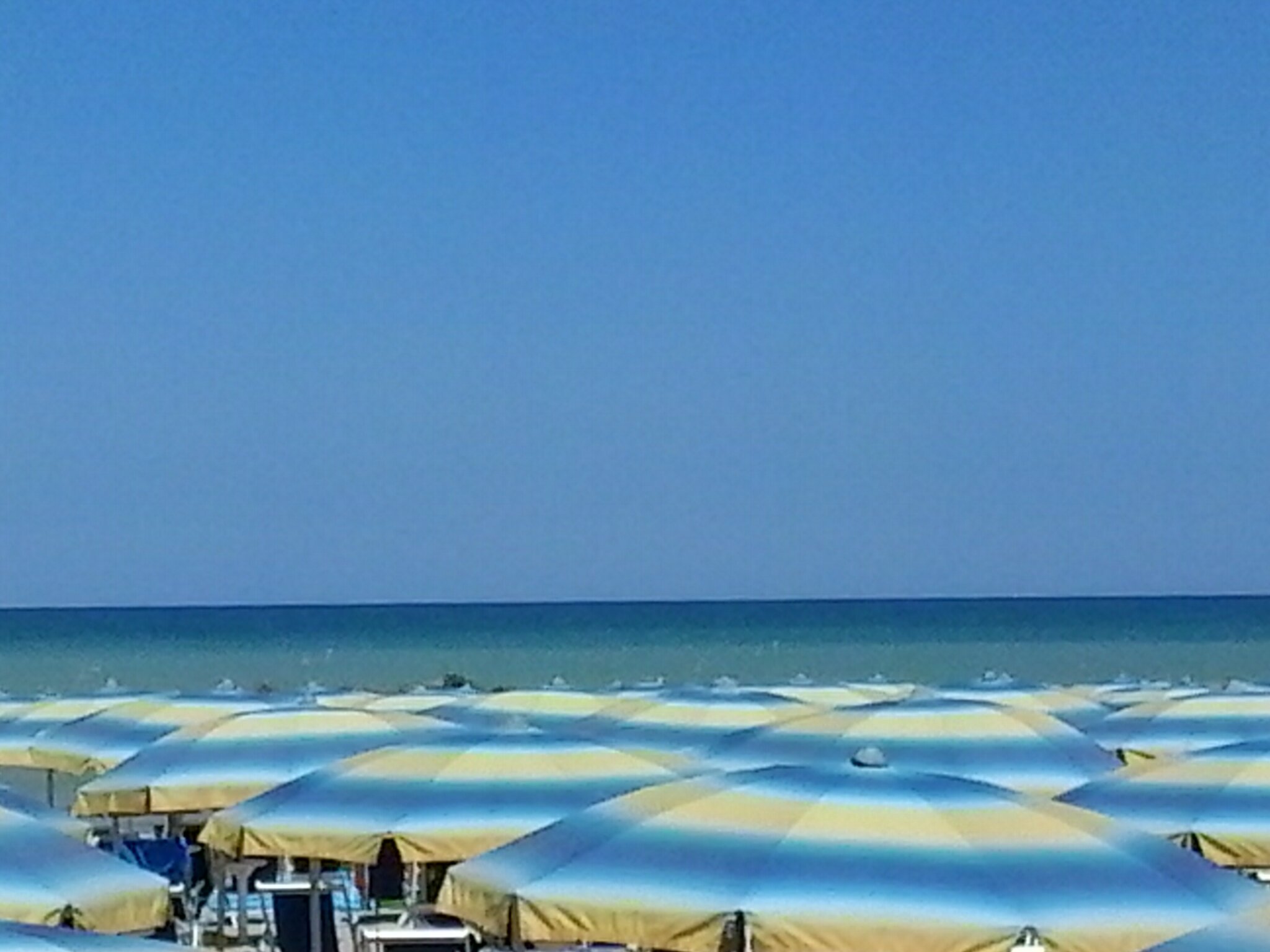 Maxy banner