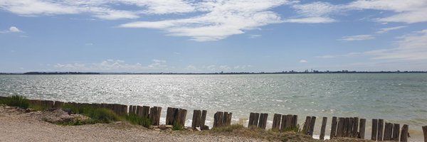 ReeveRuth Profile Banner