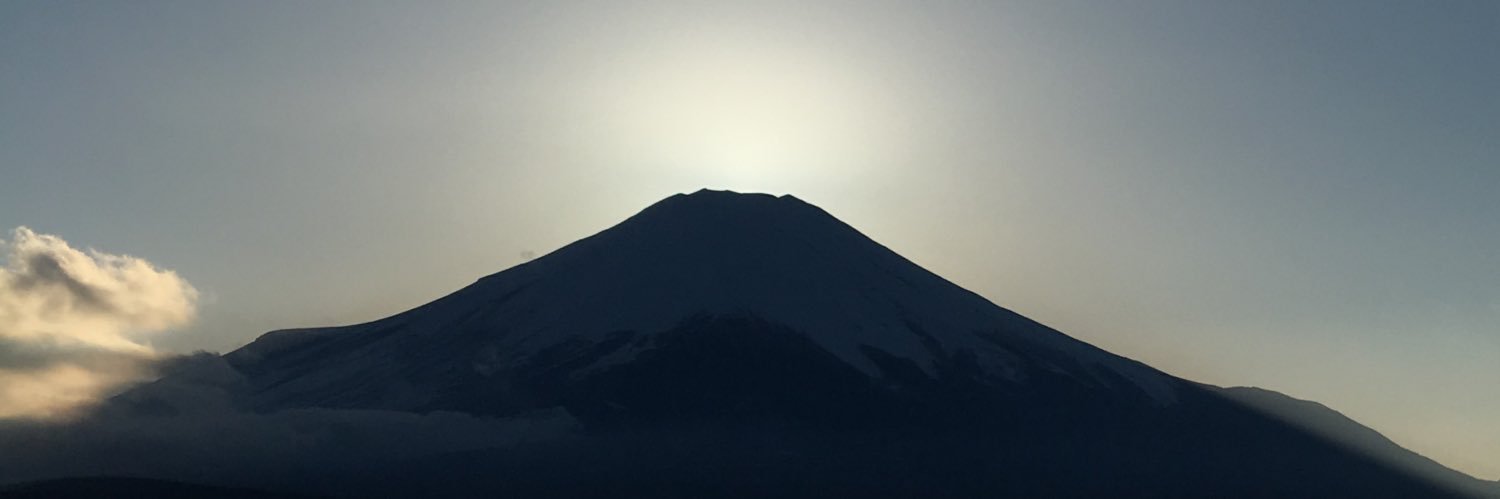スギ banner