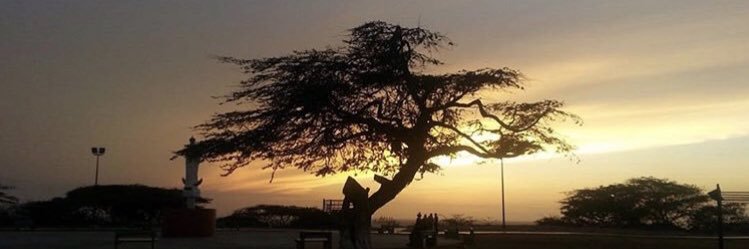 makyvasf's profile banner image