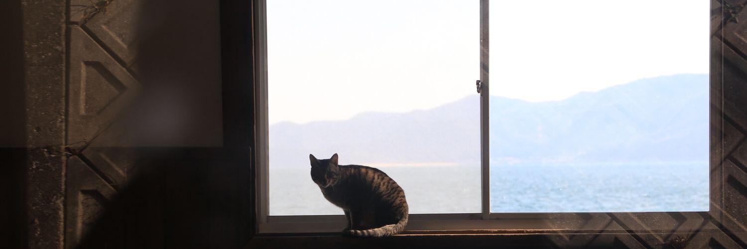 puttun_pasta's profile banner image