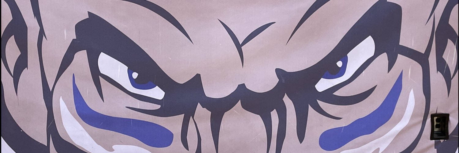 Calvert Athletics banner