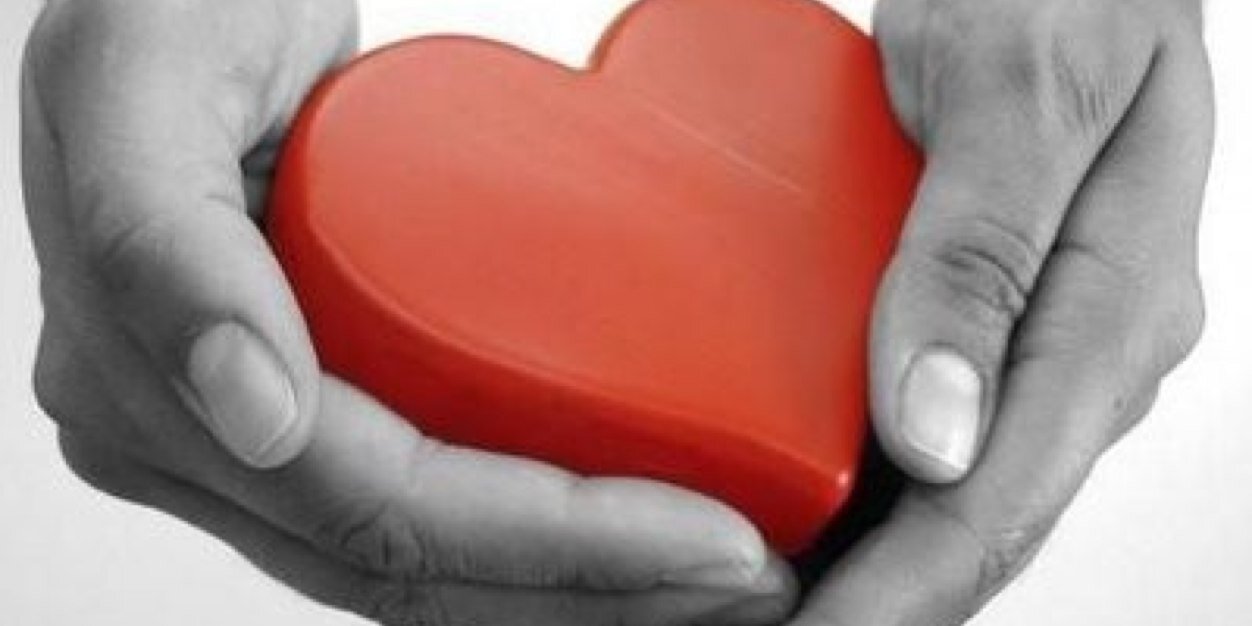 delphine dechambre banner