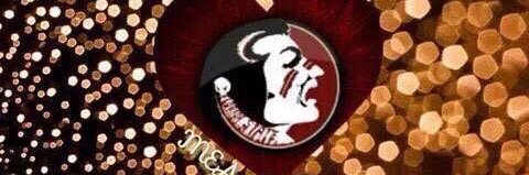 FSU_letsgo's profile banner image