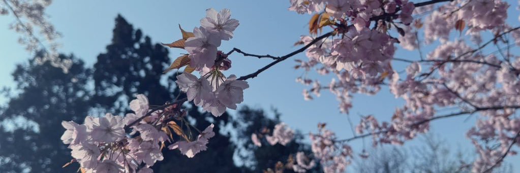 とろろ🍣 banner