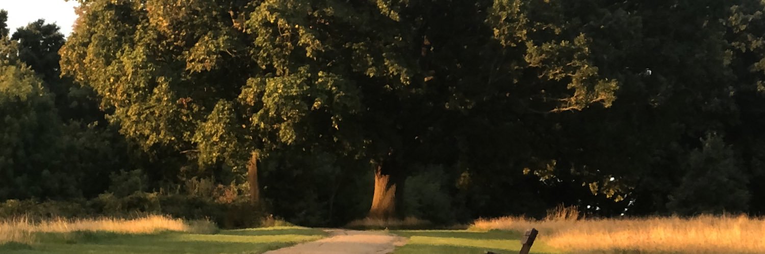 MrJohnDav's profile banner image