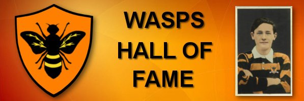Wasps Hall of Fame banner