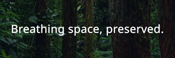 StellarCarbon Profile Banner