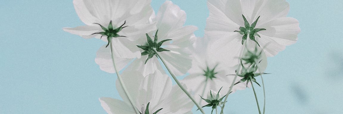 ｏｍａｍｅ. banner