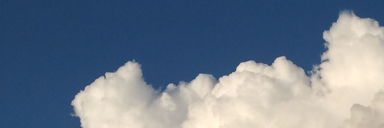 Cha’🥺 banner