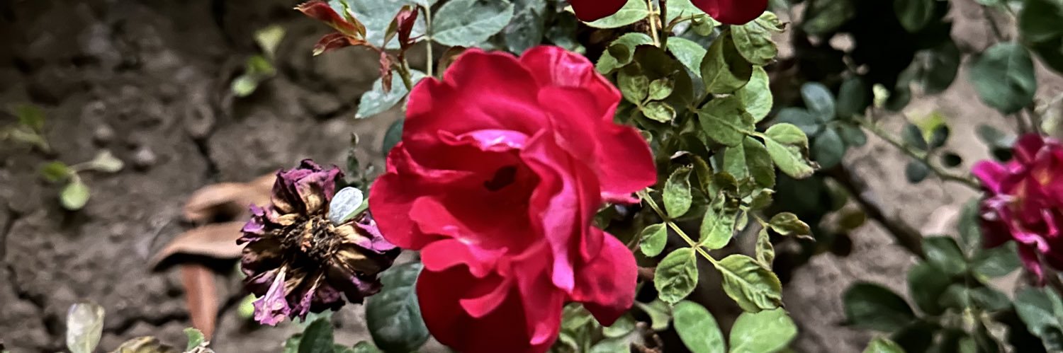 Awaiskhalid07's profile banner image