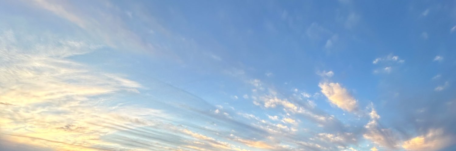 dru banner