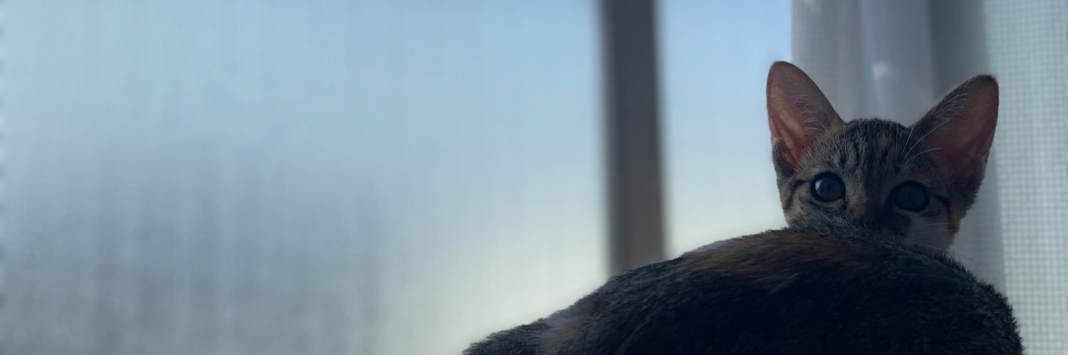 peach_folk's profile banner image