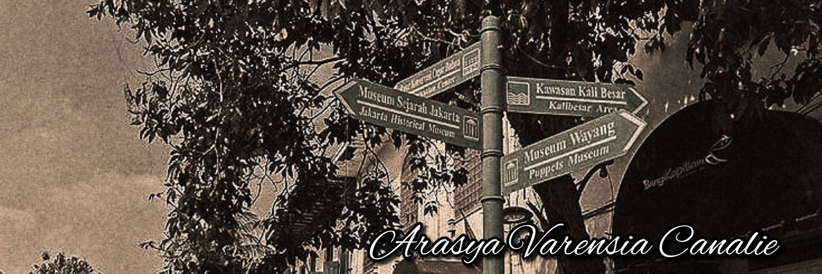 arasya banner